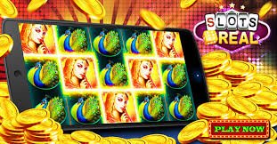 Bangladesh users exploring casino style categories on pkoko
